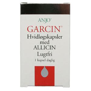 Garcin Hvidløg - 30 kap.