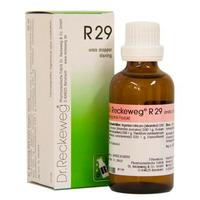 Dr. Reckeweg R 29 - 50 ml