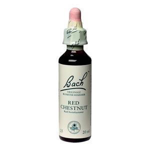 Bach Rød Hestekastanie - 20ml