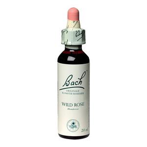 Bach Hunderose - 20ml