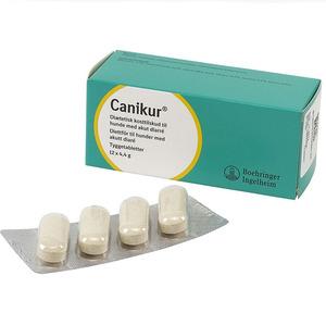 Canikur til hunde - 12 tyggetabletter