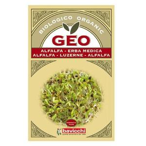 Bavicchi Geo lucernefrø til spiring Ø - 500 g