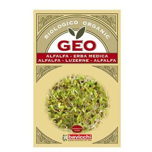 Bavicchi Geo Lucernefrø til spiring Ø - 40 gram