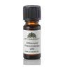 Urtegaarden Olibanumolie - 5 ml