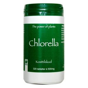 Billede af Chlorella 500mg, økologisk - 320 tabletter