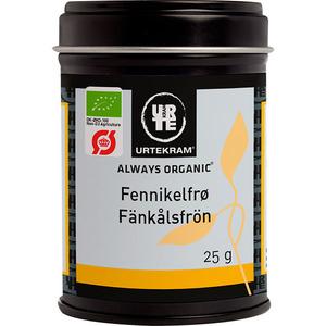 Urtekram økologiske Fennikelfrø