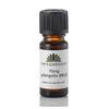 Urtegaarden Økologisk Ylang Ylangolie - 5 ml æterisk olie