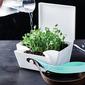 Uhmm Box No 2. Transparent White Box/Mint Strap - 1 stk