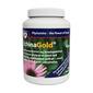 Echina Gold kapsler fra Biosym