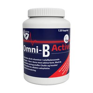 Biosym Omni-B active