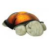 Cloud b - Twilight Turtle natlampe - mocha