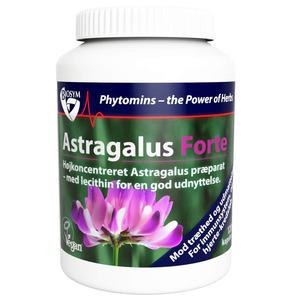 Biosym Astragalus Forte mod træthed og udmattelse.