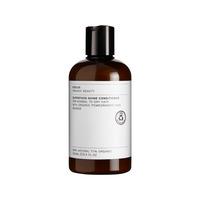 Evolve Organic Beauty Superfood Shine Conditioner - 250 ml.