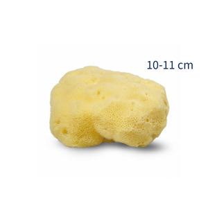 Cocoon Organic Living Silke samp 10-11 cm