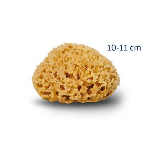 Cocoon Organic Living Honey Svamp 10-11 cm