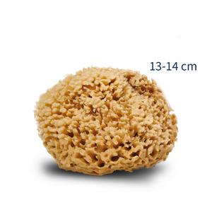 13: Cocoon Organic Laundry Honey Wool svamp 13-14 cm