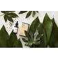 S5 Replenish Serum TVL - 10 ml.