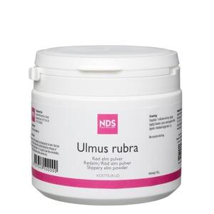 NDS Ulmus rubra - 100 gr