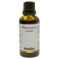 Allergica Mesenchym comp. - 50 ml