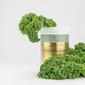 Vild Nord Collagen Green Boost- 315 g