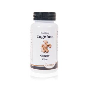 Camette Ingefær - 140 tab.