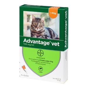 Advantage pour-on Vet kat, 0-4 kg