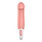 Satisfyer Vibes Master Nature Vibrator