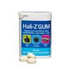 Hali-Z GUM - 20 stk.