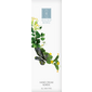 Raunsborg Hand Cream - 100 ml