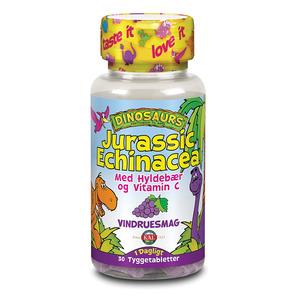 KAL DinoSaurs Jurasic Echinacea - 30 tyggetabl.