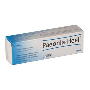 Heel Paeonia salve - 50 gram