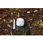 Neurogan Hemp Face Cream 500 - 30 ml.