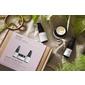 Evolve Discovery Box: Smart Ageing - 1 stk.