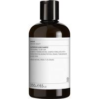 Evolve Organic Beauty Superfood Shine Shampoo - 250 ml.