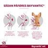 Bayvantic Vet. til hunde - 0-4 kg