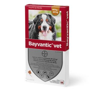 Bayvantic Vet. til hunde - 40-60 kg