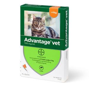 Advantage pour-on Vet kat, 0-4 kg