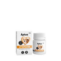 Aptus Attapectin Tabletter - 30 stk