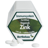 Berthelsen Naturprodukter Zink - 120 tabl.