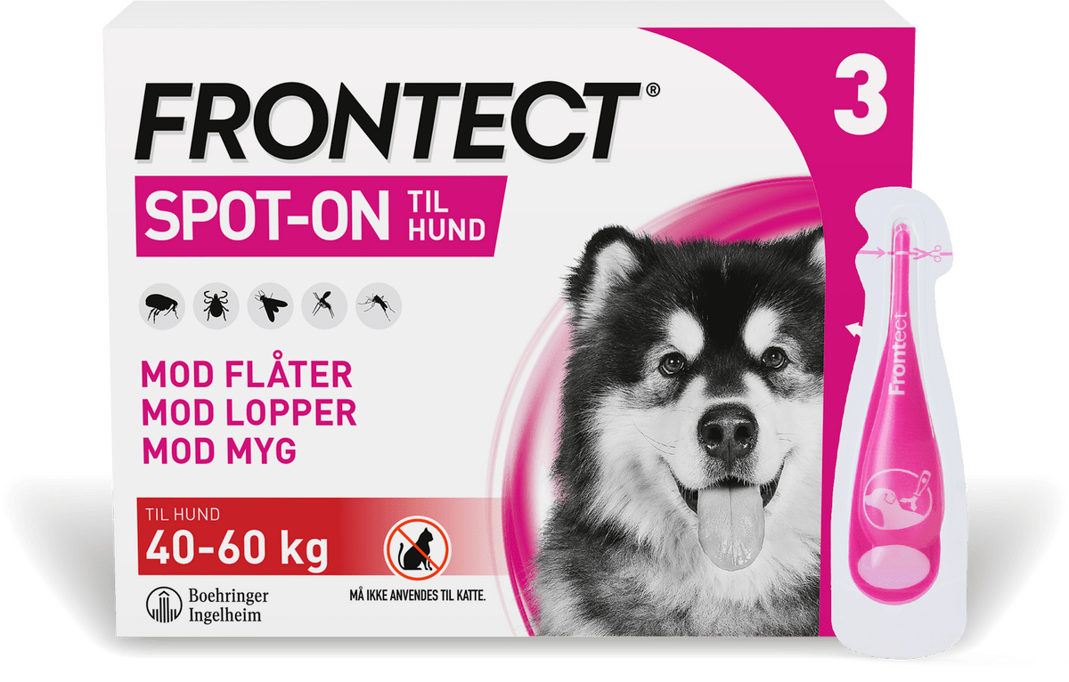 Ruddy Post sne hvid Køb Frontect Spot On til hunde, 40-60 kg - 3 pipetter | Med24.dk
