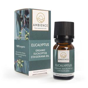 Ambience Eucalyptus ØKO – 10 ml