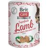 Brit Care Cat Snack Superfruits, lam - 100 g