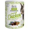 Brit Care Cat Snack Superfruits, kylling - 100 g
