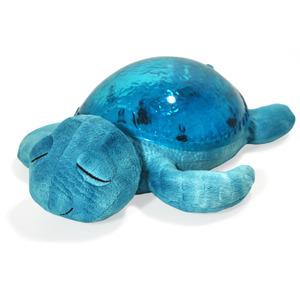 Cloud b B Tranquil Turtle - Aqua