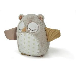 Cloud Nighty Night Owl