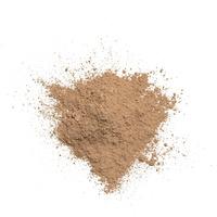 GOSH Copenhagen Mineral Powder - 008 Tan