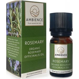 Ambience Rosemary Oil Økologisk – 10 ml.