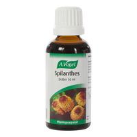 A. Vogel Spilanthes - 50 ml.