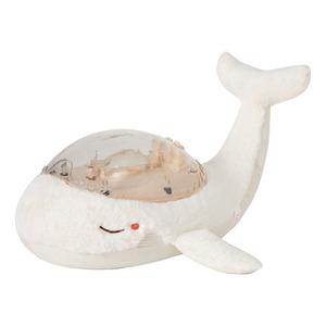 Cloud b B Tranquil Whale, White