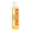 Burt's Bees Lip Balm - Flere Varianter - Coconut & Pear